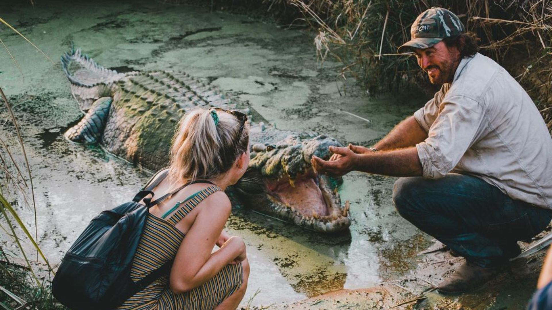 Woman experiencing crocodile feeding with croc wrangler matt wright
